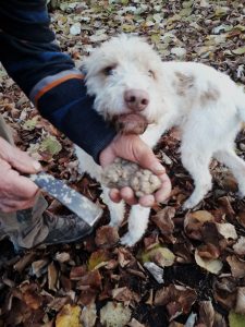 Cascina-Barin-Alba_Langhe-BB-Italia-Piemonte